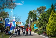 Se viene el último fin de semana de la Fiesta Nacional de la Flor, que ya convocó a más de 50 mil personas