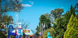 Se viene el último fin de semana de la Fiesta Nacional de la Flor, que ya convocó a más de 50 mil personas