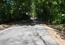 Avanzan las obras en Belén de Escobar y en el centro comercial de Matheu