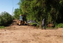 Continúan los trabajos de mantenimiento de la Municipalidad de Escobar para mejorar el espacio público del distrito Continúan los trabajos de mantenimiento de la Municipalidad de Escobar para mejorar el espacio público del distrito