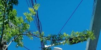 Finalizó el trabajo de reposición y reparación de luminarias en todo el distrito