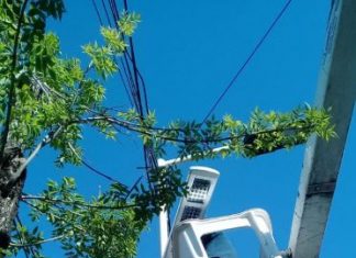 Finalizó el trabajo de reposición y reparación de luminarias en todo el distrito