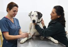 Escobar: Lanzan campaña gratuita de vacunación antirrábica en todas las UGC