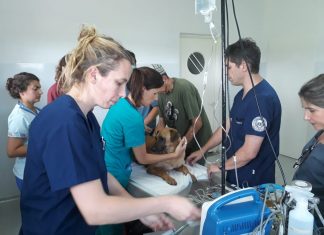 Docentes de la Facultad de Ciencias Veterinarias de la UBA dictaron una capacitación en el Hospital Municipal de Zoonosis