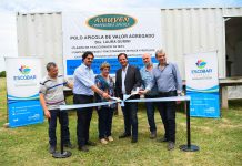 Polo Apícola: Inauguran planta de fraccionamiento de miel y polen en Escobar