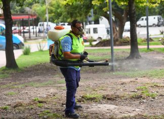 Se intensifican los trabajos de prevención contra el hantavirus en Escobar