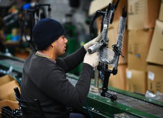 Oficina de Empleo: Lanzan un portal digital para buscar y ofrecer trabajo