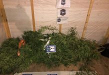 Un hombre intensamente buscado fue detenido por una denuncia recibida en el 0800 municipal