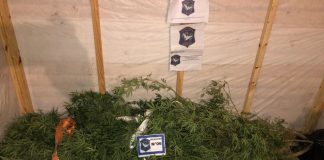 Un hombre intensamente buscado fue detenido por una denuncia recibida en el 0800 municipal