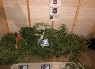 Un hombre intensamente buscado fue detenido por una denuncia recibida en el 0800 municipal