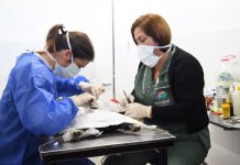 En lo que va del año la Dirección de Zoonosis brindó más de 8000 atenciones