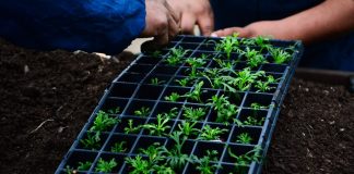 Continúa la inscripción al concurso municipal para productores orgánicos