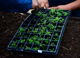 La Municipalidad de Escobar lanza un concurso para emprendedores que elaboren productos orgánicos