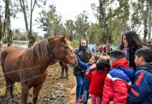La Granja Educativa Don Benito recuperó a 20 animales en estado de maltrato y abandono