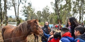 La Granja Educativa Don Benito recuperó a 20 animales en estado de maltrato y abandono