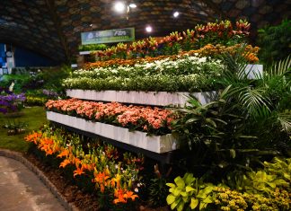 La Fiesta de la Flor ya está en marcha, este viernes inició la 56º edición