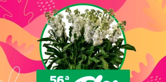 56ª Fiesta Nacional de la Flor en Escobar