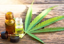 El municipio realiza la primera jornada sobre cannabis y salud