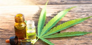 El municipio realiza la primera jornada sobre cannabis y salud