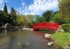 Reabrió el Jardín Japonés: Un paseo para toda la familia