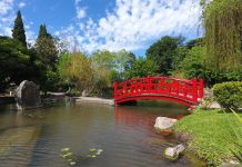 Reabrió el Jardín Japonés: Un paseo para toda la familia