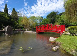 Reabrió el Jardín Japonés: Un paseo para toda la familia