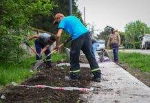 Presupuesto Participativo: Avanzan las obras en las distintas localidades del distrito