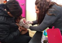 La Municipalidad de Escobar aplicó vacunas contra el sarampión en los siete CDI del distrito