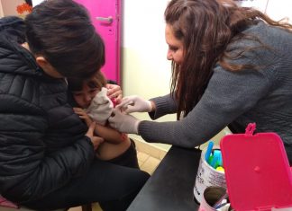 La Municipalidad de Escobar aplicó vacunas contra el sarampión en los siete CDI del distrito