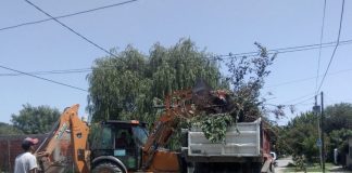 Continúan las mejoras del espacio público en todo el distrito