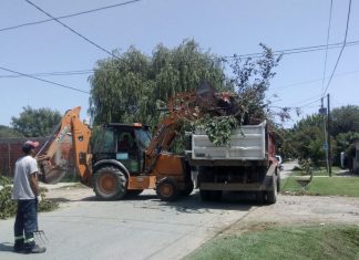 Continúan las mejoras del espacio público en todo el distrito