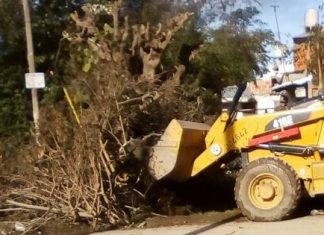 Cronograma semanal de trabajos de higiene urbana
