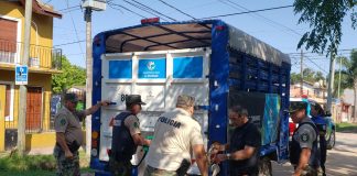 Venta ilegal y maltrato de animales: El municipio rescató 41 aves y un caballo