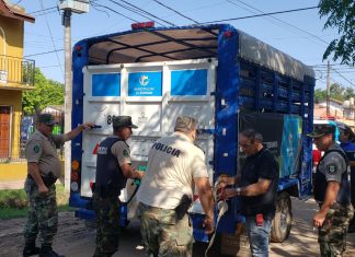 Venta ilegal y maltrato de animales: El municipio rescató 41 aves y un caballo