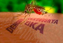 Al Dengue, Chikungunya y Zika, lo combatimos entre todos