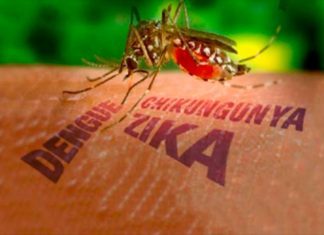 Al Dengue, Chikungunya y Zika, lo combatimos entre todos