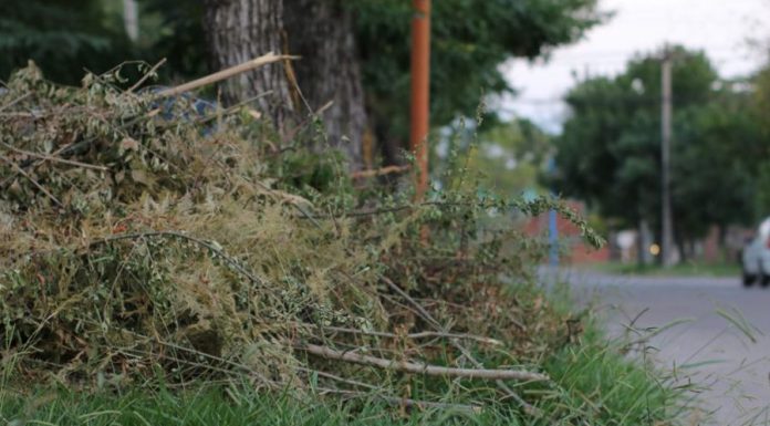 Cronograma semanal de trabajos de higiene urbana