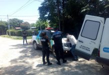 Recuperan aves comercializadas de manera clandestina a partir de una denuncia en “Ojos y Oídos en Alerta”