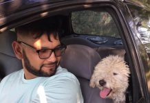 Cifras récord para el Hospital de Zoonosis