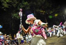 A puro ritmo y color: Llega la 5º edición del Carnaval de la Flor