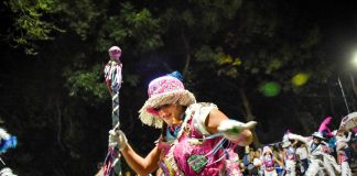 A puro ritmo y color: Llega la 5º edición del Carnaval de la Flor