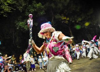 A puro ritmo y color: Llega la 5º edición del Carnaval de la Flor