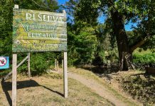 Realizan relevamientos de recursos naturales en la Reserva Natural Educativa de Ingeniero Maschwitz