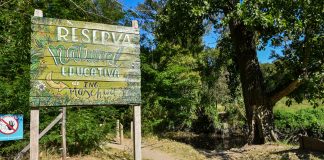Realizan relevamientos de recursos naturales en la Reserva Natural Educativa de Ingeniero Maschwitz