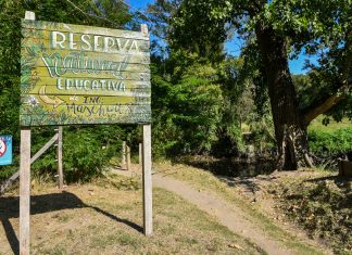 Realizan relevamientos de recursos naturales en la Reserva Natural Educativa de Ingeniero Maschwitz