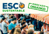 Esco Sustentable