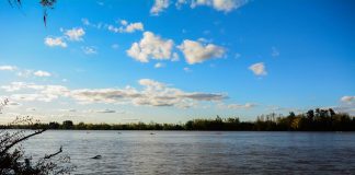 Escobar se suma a “La Hora del Planeta”