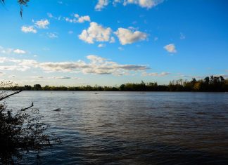 Escobar se suma a “La Hora del Planeta”