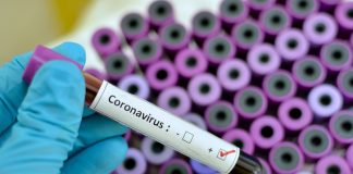 Nuevas medidas por el coronavirus: Licencias, trámites y plazas
