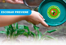 Al Dengue, Chikungunya y Zika, lo combatimos entre todos